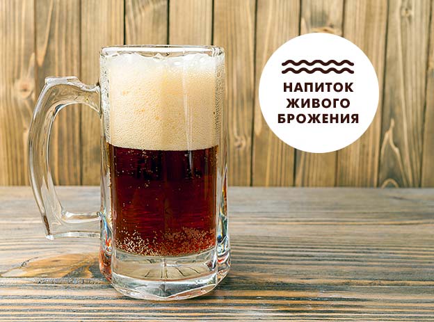 Комбуча зеленый чай/цветы клитории/лемонграсс/лаванда пэт, 0,33л. Комбуча напиток бизнес. Живой напиток. Надо лимонад живая вода. Живой напиток.